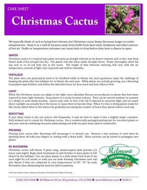 Christmas+Cactus+Care+Sheet.Pdf