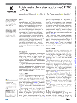 Protein Tyrosine Phosphatase Receptor Type C (PTPRC Or CD45)