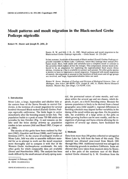 Moult Patterns and Moult Migration in the Black-Necked Grebe Podiceps