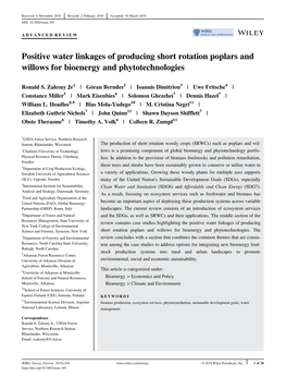 Positive Water Linkages of Producing Short Rotation Poplars and Willows for Bioenergy and Phytotechnologies