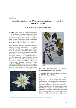 Nymphaea Tetragona (Nymphaeaceae) a New Record for Flora of Nepal