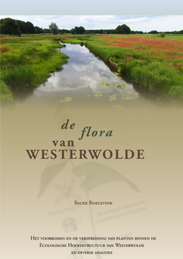 De Flora Van WESTERWOLDE