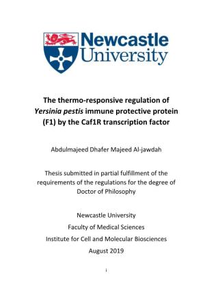 The Thermo-Responsive Regulation of Yersinia Pestis Immune Protective Protein (F1) by the Caf1r Transcription Factor