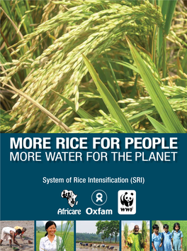 Rice for People More Water for the Planet