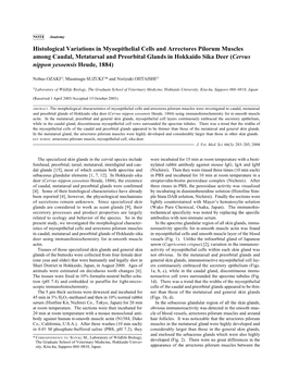 Histological Variations in Myoepithelial Cells and Arrectores Pilorum Muscles Among Caudal, Metatarsal and Preorbital Glands In