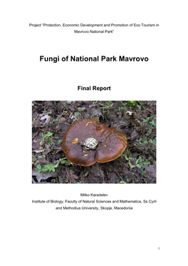Fungi of National Park Mavrovo