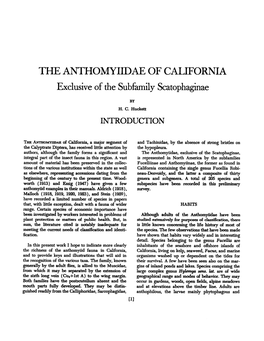 THE ANTHOMYIIDAE of CALIFORNIA Exclusive of the Subfamily Scatophaginae
