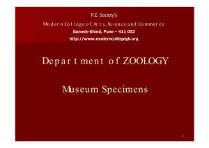 Department of ZOOLOGY Museum Specimens