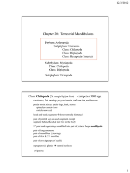 Chapter 20: Terrestrial Mandibulates