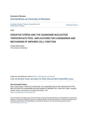 Oxidative Stress and the Guanosine Nucleotide Triphosphate Pool: Implications for a Biomarker and Mechanism of Impaired Cell Function