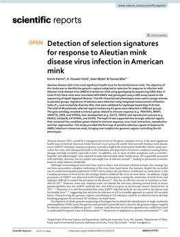 Detection of Selection Signatures for Response to Aleutian Mink Disease Virus Infection in American Mink Karim Karimi1, A