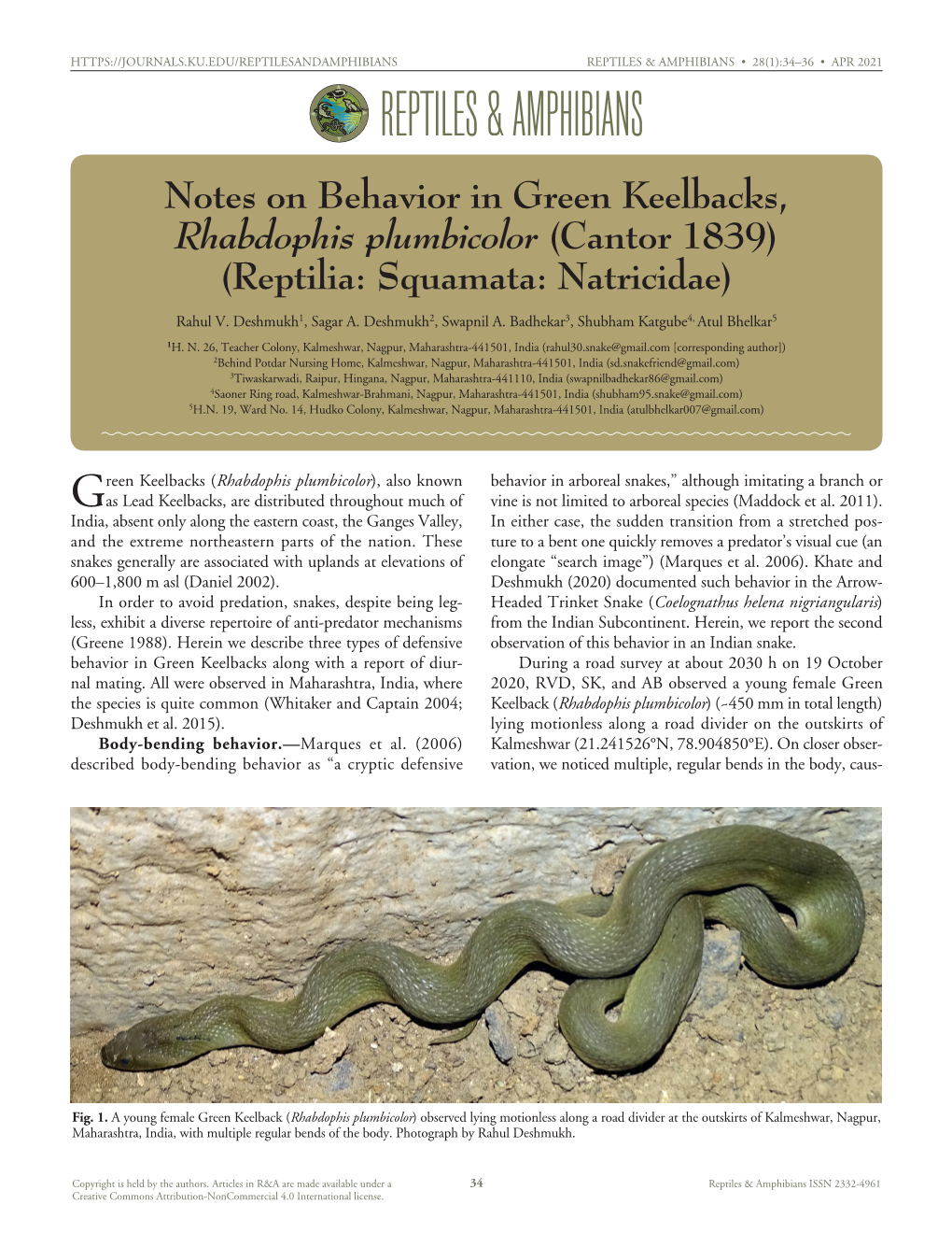 Cfreptiles & Amphibians