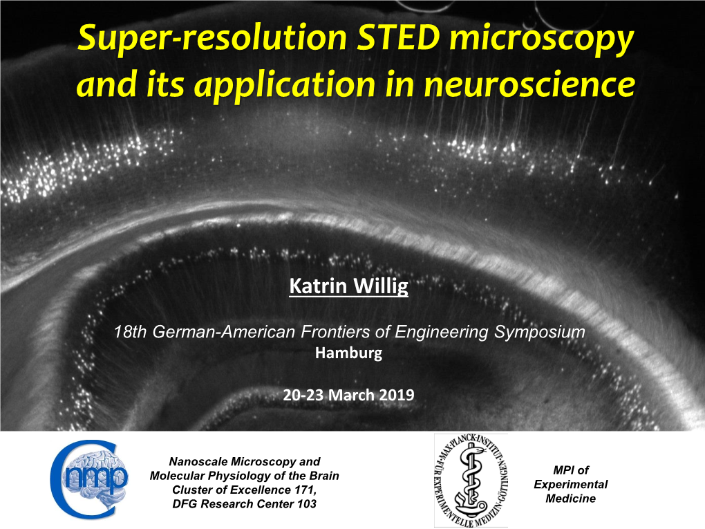 Super-Resolution STED Microscopy and Its Application in Neuroscience