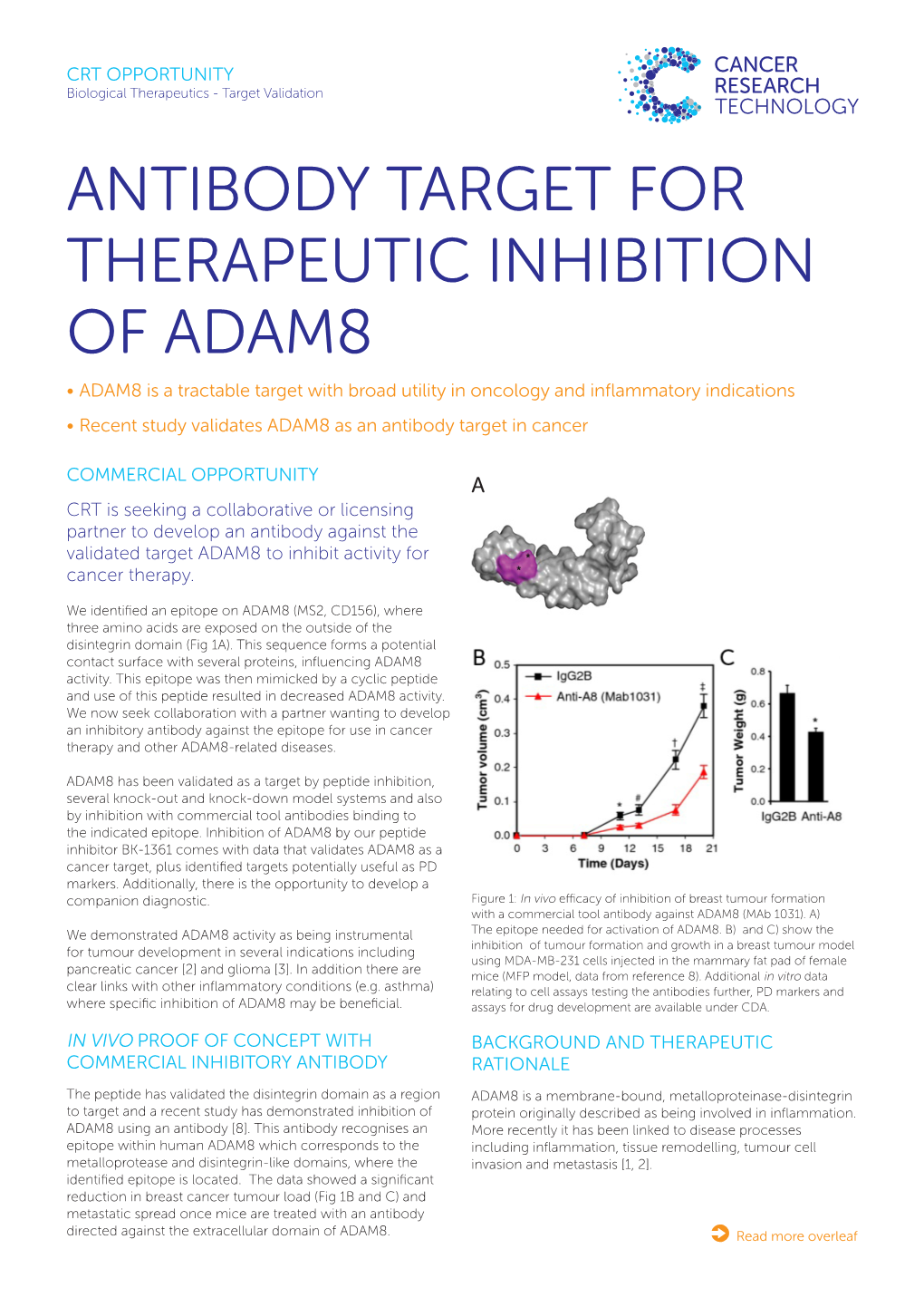 Antibody Target for Therapeutic Inhibition Of