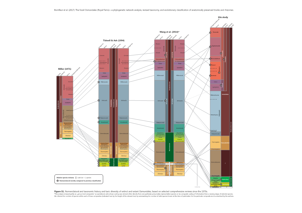 Bomfleur Et Al. (2017): the Fossil Osmundales