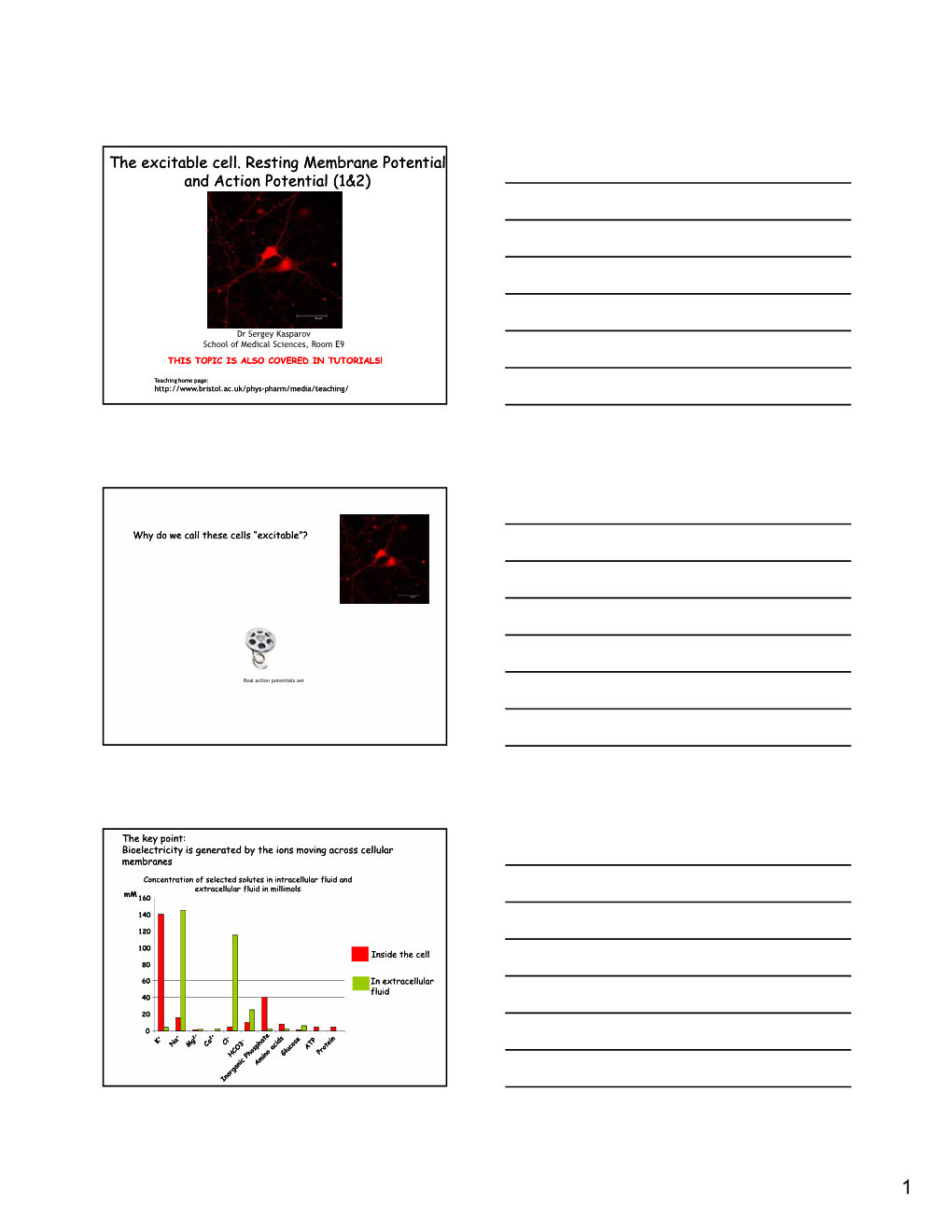 The Excitable Cell. Resting Membrane Potential and Action Potential (1&2)