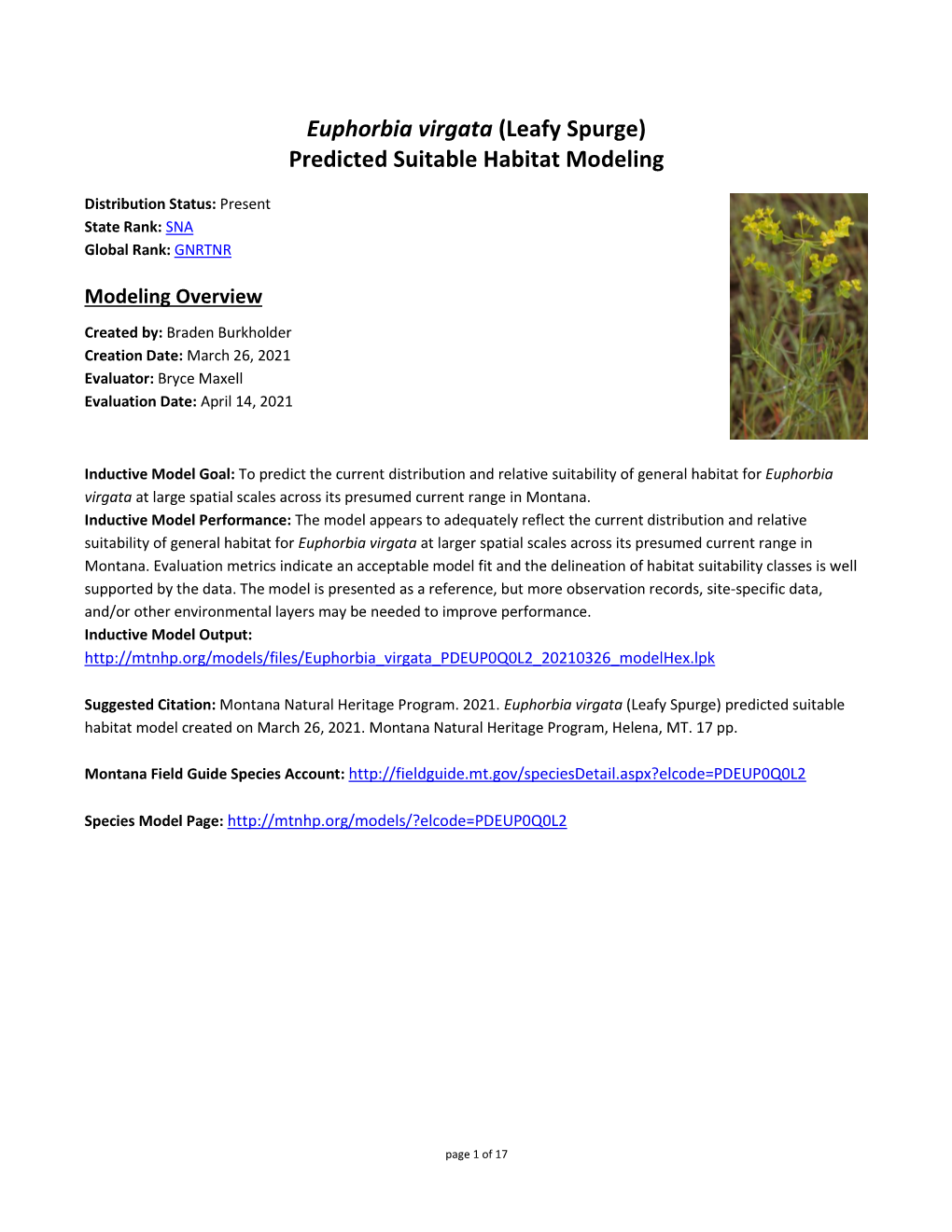 Euphorbia Virgata (Leafy Spurge) Predicted Suitable Habitat Modeling