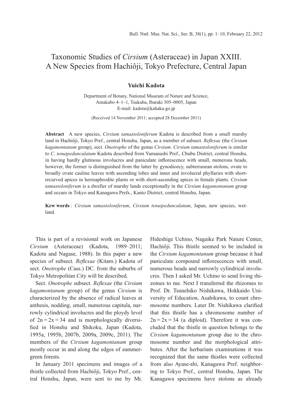 Taxonomic Studies of Cirsium (Asteraceae) in Japan XXIII. a New Species from Hachiôji, Tokyo Prefecture, Central Japan