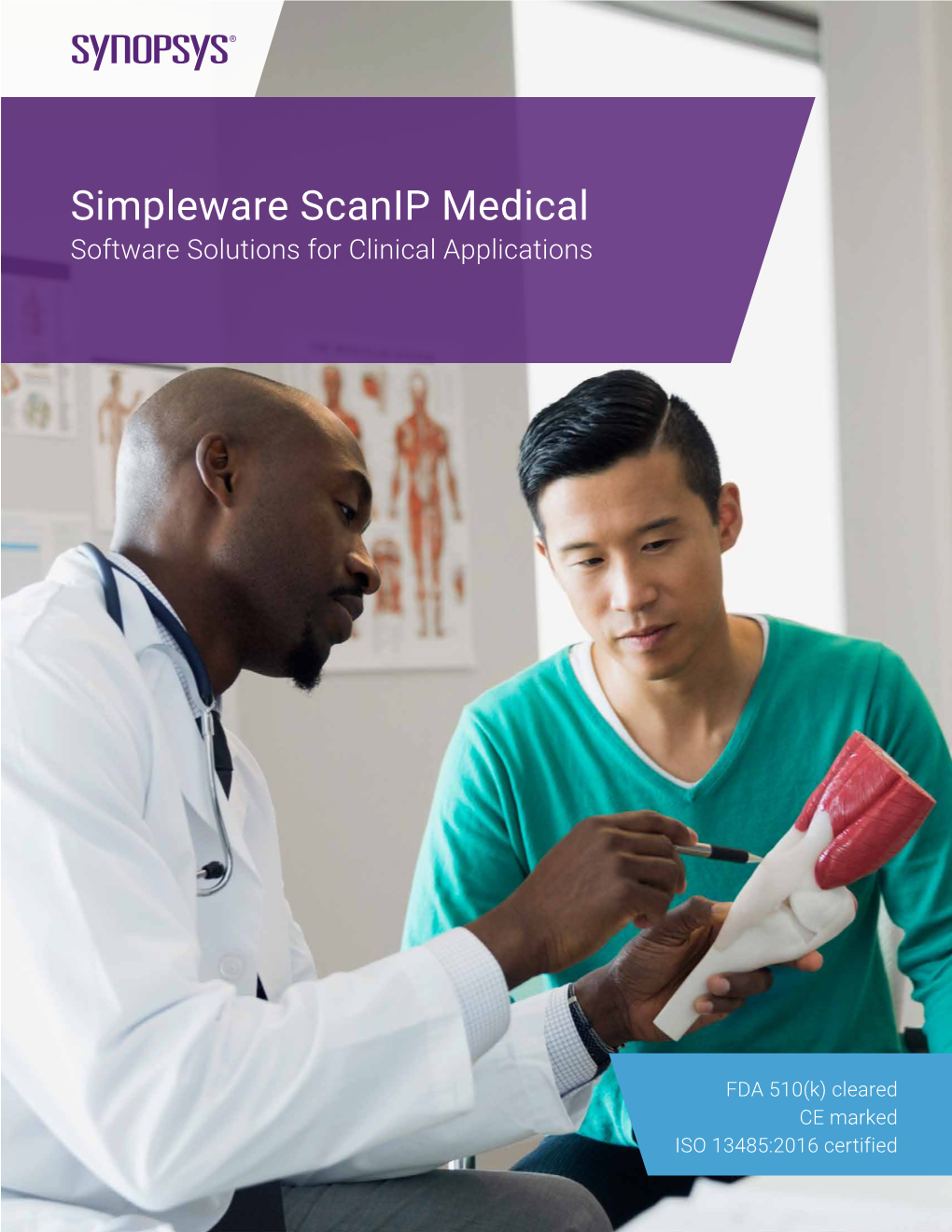 Simpleware Scanip Medical Software Solutions for Clinical Applications