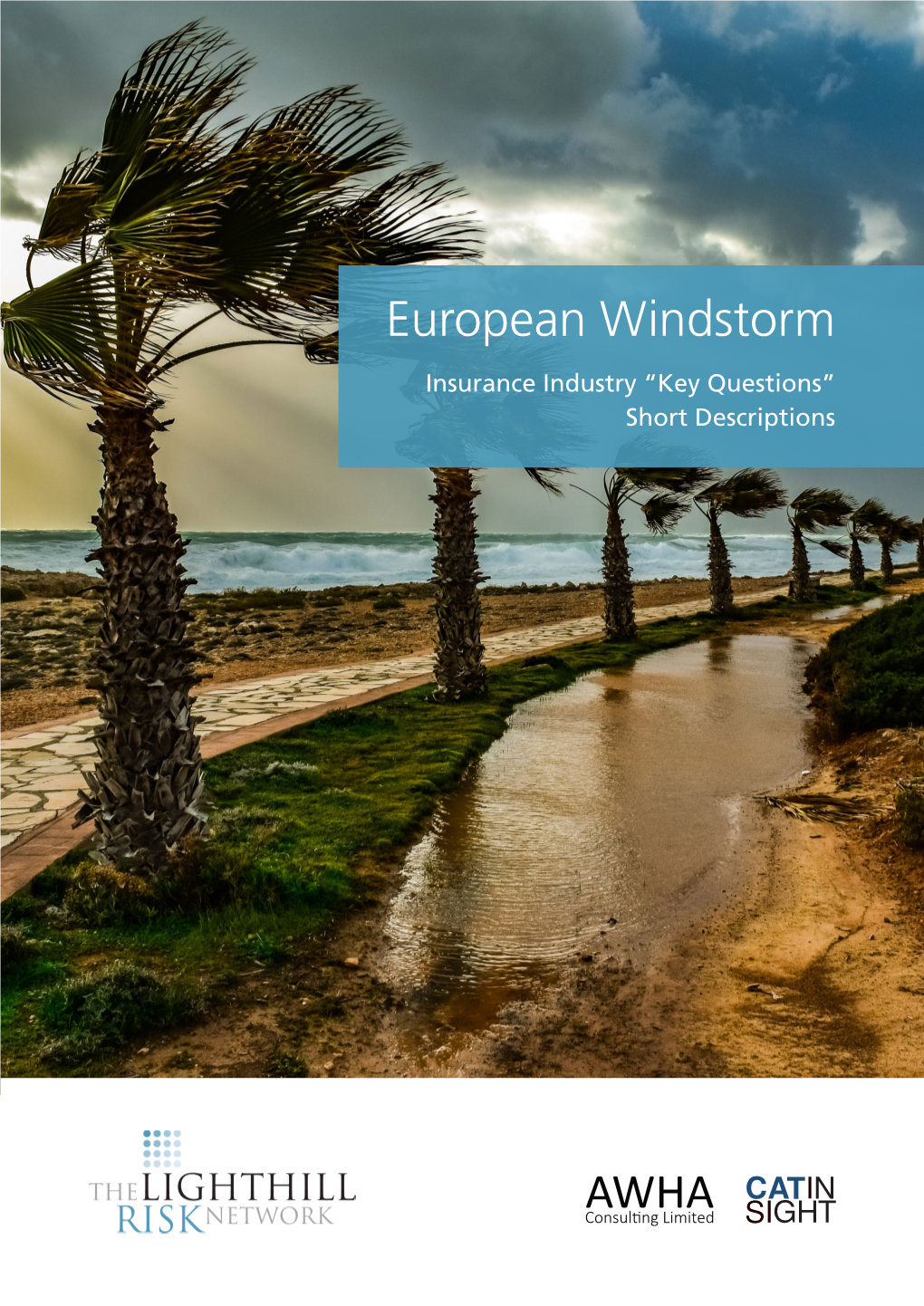 European Windstorm Insurance Industry “Key Questions” Short Descriptions