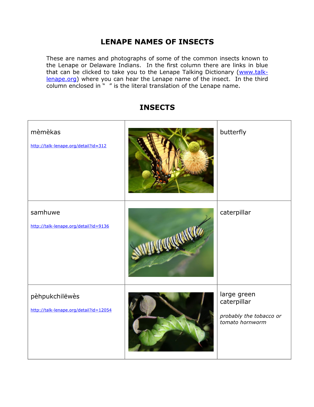 Lenape Names of Insects