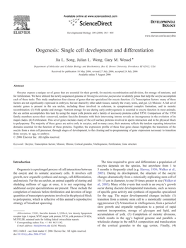 Oogenesis: Single Cell Development and Differentiation ⁎ Jia L