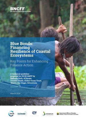 Blue Bonds: Financing Resilience of Coastal Ecosystems Key Points for Enhancing Finance Action
