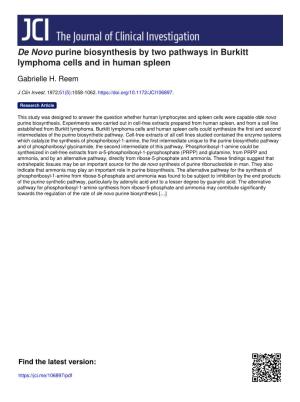 De Novo Purine Biosynthesis by Two Pathways in Burkitt Lymphoma Cells and in Human Spleen