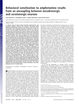 Behavioral Sensitization to Amphetamine Results from an Uncoupling Between Noradrenergic and Serotonergic Neurons