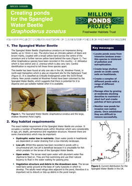 Creating Ponds for the Spangled Water Beetle Graphoderus Zonatus Freshwater Habitats Trust