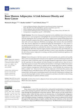 Bone Marrow Adipocytes: a Link Between Obesity and Bone Cancer