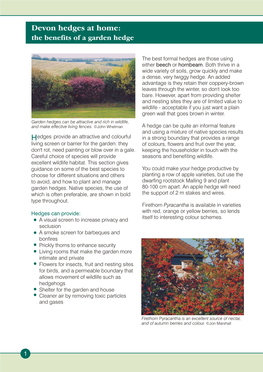 Devon Hedges at Home: the Benefits of a Garden Hedge