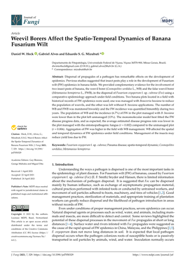 Weevil Borers Affect the Spatio-Temporal Dynamics of Banana Fusarium Wilt