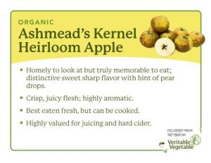 Ashmead's Kernel Heirloom Apple