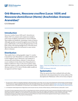 Orb Weavers, Neoscona Crucifera (Lucas 1839) and Neoscona Domiciliorun (Hentz) (Arachnidae: Araneae: Araneidae)1 G