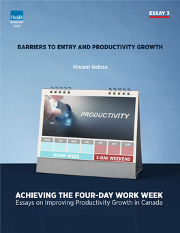 Barriers to Entry and Productivity Growth