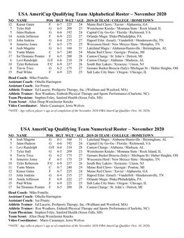 2020 November USA Men's Americup Qualifying Team Roster