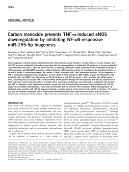 Carbon Monoxide Prevents TNF-Α-Induced Enos Downregulation by Inhibiting NF-Κb-Responsive Mir-155-5P Biogenesis