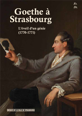 Goethe À Strasbourg