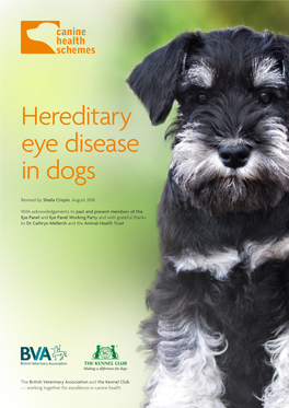 Hereditary Eye Disease in Dogs