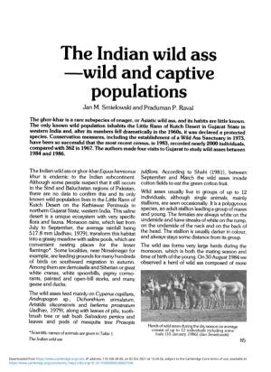 The Indian Wild Ass—Wild and Captive Populations
