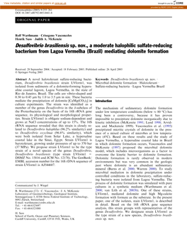 Desulfovibrio Brasiliensis Sp. Nov., a Moderate Halophilic Sulfate-Reducing Bacterium from Lagoa Vermelha (Brazil) Mediating Dolomite Formation