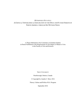 A Thesis Submitted to the Committee on Graduate Studies in Partial