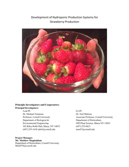 Development of Hydroponic Production Systems for Strawberry Production