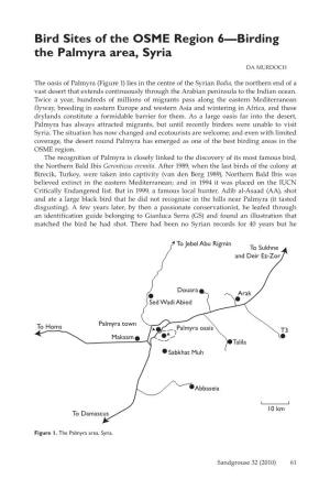 Bird Sites of the Osme Region 6—Birding the Palmyra Area, Syria DA MURDOCH