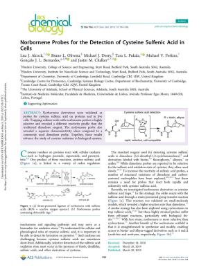 Norbornene Probes for the Detection of Cysteine Sulfenic Acid in Cells Lisa J