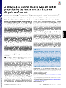 A Glycyl Radical Enzyme Enables Hydrogen Sulfide Production by the Human Intestinal Bacterium Bilophila Wadsworthia