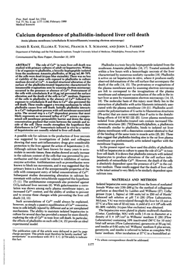 Calcium Dependence of Phalloidin-Induced Liver Cell Death (Toxin/Plasma Membrane/Cytochalasin B/Microfilaments/Scanning Electron Microscopy) AGNES B