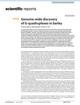 Genome-Wide Discovery of G-Quadruplexes in Barley