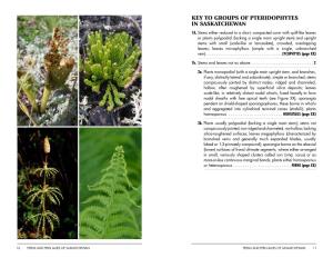 Ferns and Fern Allies Sample Pages